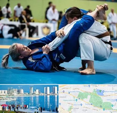 باشگاه جوجیتسو بانوان در چیتگر 