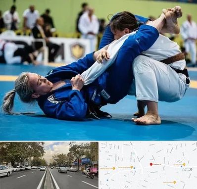 باشگاه جوجیتسو بانوان در دولت