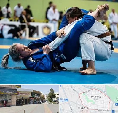 باشگاه جوجیتسو بانوان در پرواز تبریز