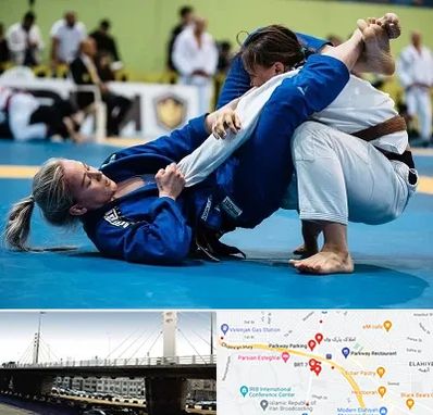 باشگاه جوجیتسو بانوان در پارک وی