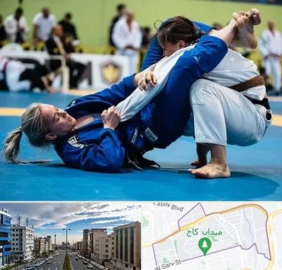 باشگاه جوجیتسو بانوان در سعادت آباد 
