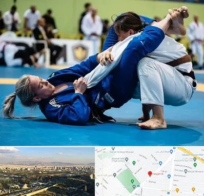 باشگاه جوجیتسو بانوان در هنگام