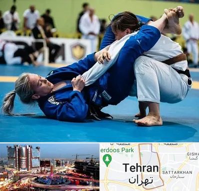 باشگاه جوجیتسو بانوان در صادقیه 