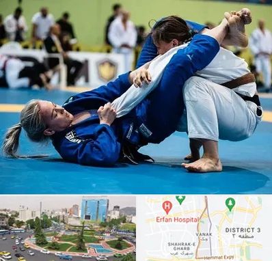 باشگاه جوجیتسو بانوان در ونک 