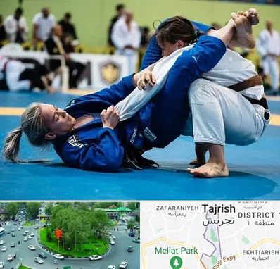 باشگاه جوجیتسو بانوان در تجریش 