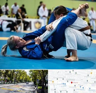 باشگاه جوجیتسو بانوان در میرداماد