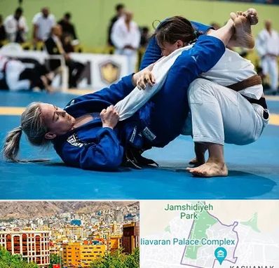 باشگاه جوجیتسو بانوان در نیاوران 