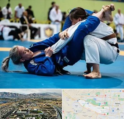 باشگاه جوجیتسو بانوان در منطقه 21 تهران