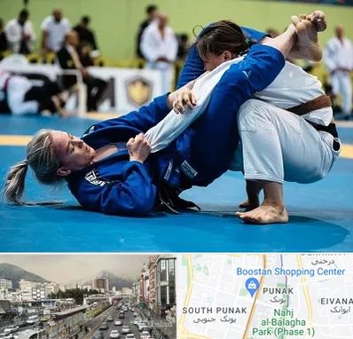 باشگاه جوجیتسو بانوان در پونک 