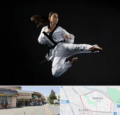 مربی رزمی خانم در پرواز تبریز