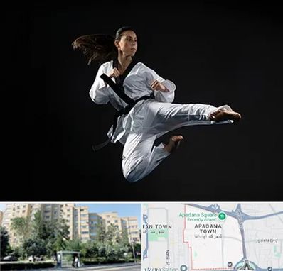 مربی رزمی خانم در آپادانا