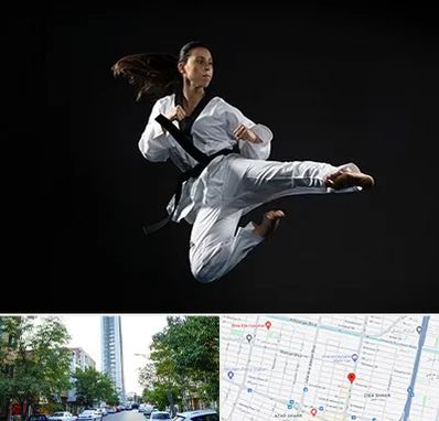 مربی رزمی خانم در امامت مشهد