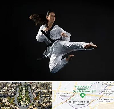 مربی رزمی خانم در نارمک