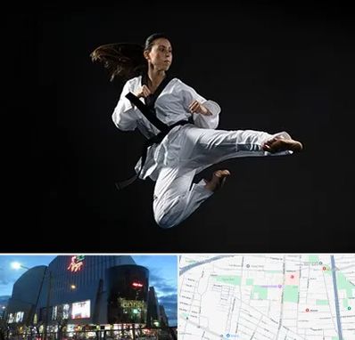 مربی رزمی خانم در بلوار اباذر