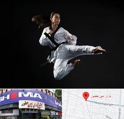 مربی رزمی خانم در امین حضور