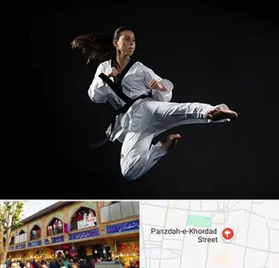 مربی رزمی خانم در 15 خرداد