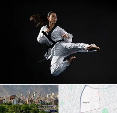 مربی رزمی خانم در جمشیدیه