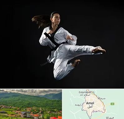 مربی رزمی خانم در آمل