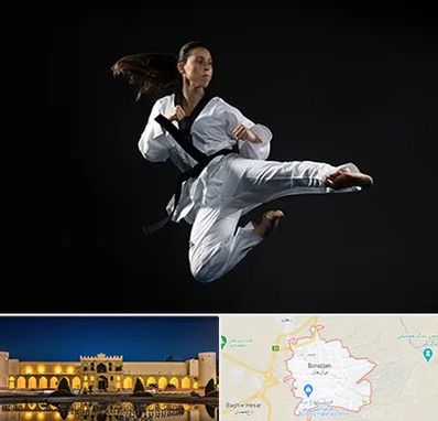 مربی رزمی خانم در برازجان