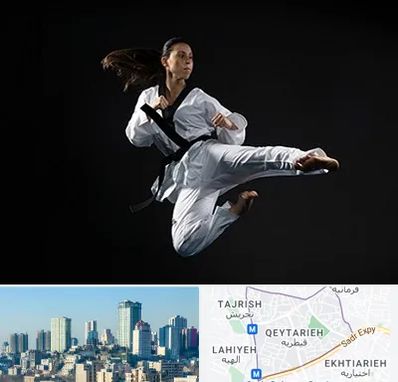 مربی رزمی خانم در قیطریه