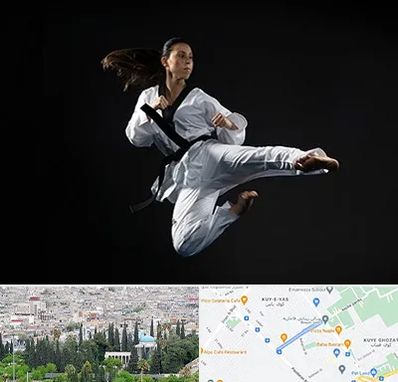 مربی رزمی خانم در محلاتی شیراز