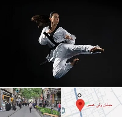 مربی رزمی خانم در ولیعصر شهریار