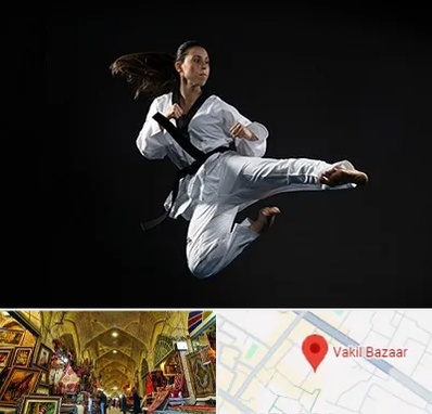 مربی رزمی خانم در بازار وکیل شیراز