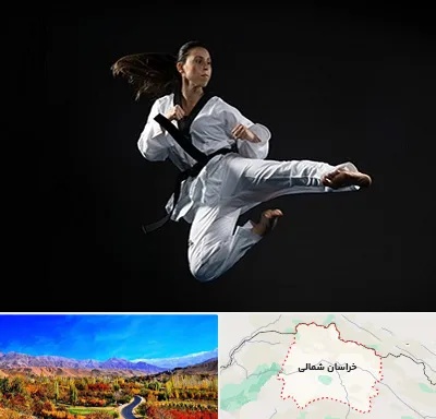 مربی رزمی خانم در خراسان شمالی