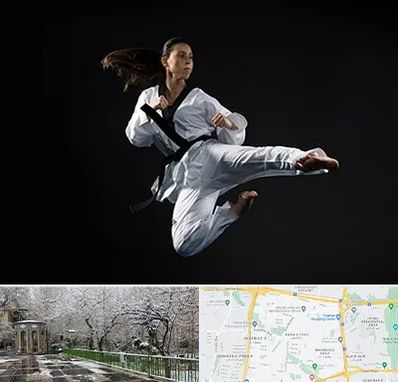 مربی رزمی خانم در باغ فیض