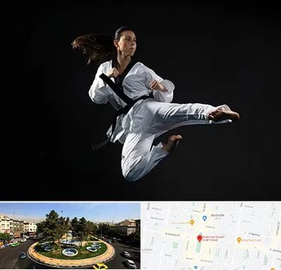 مربی رزمی خانم در هفت حوض