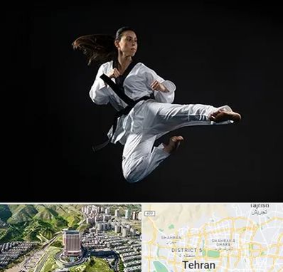 مربی رزمی خانم در شمال تهران