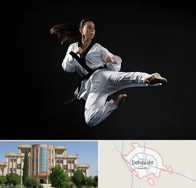 مربی رزمی خانم در دهدشت