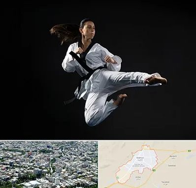 مربی رزمی خانم در شاهرود