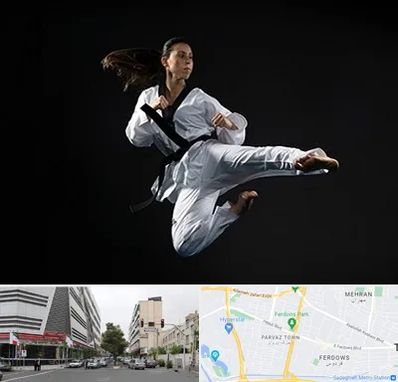 مربی رزمی خانم در بلوار فردوس 