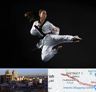 مربی رزمی خانم در فرمانیه