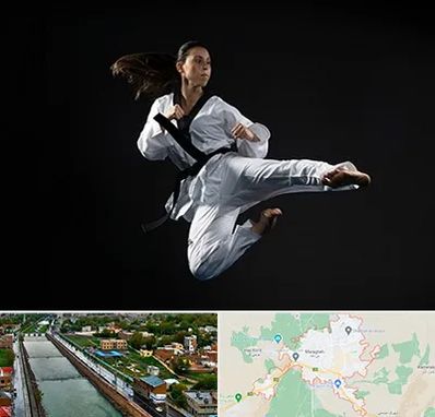 مربی رزمی خانم در مراغه