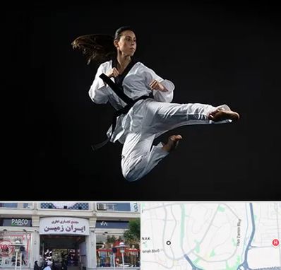 مربی رزمی خانم در ایران زمین