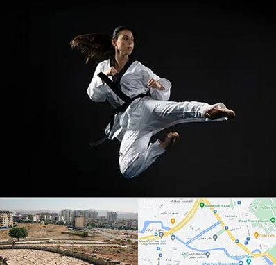 مربی رزمی خانم در کوی وحدت شیراز