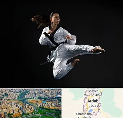 مربی رزمی خانم در اردبیل