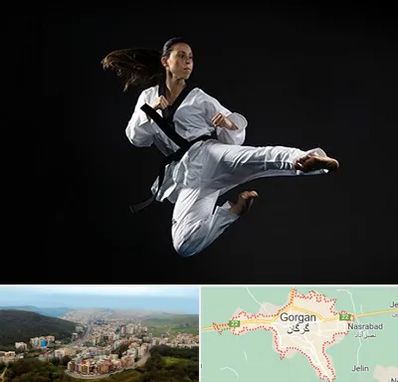 مربی رزمی خانم در گرگان