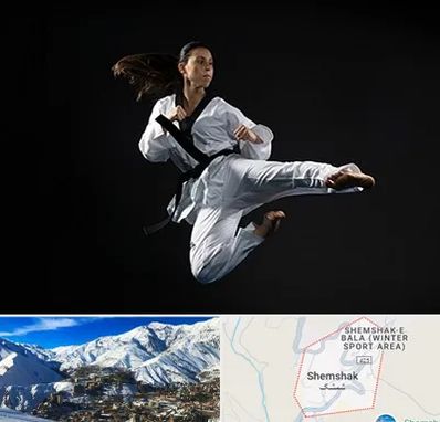 مربی رزمی خانم در شمشک