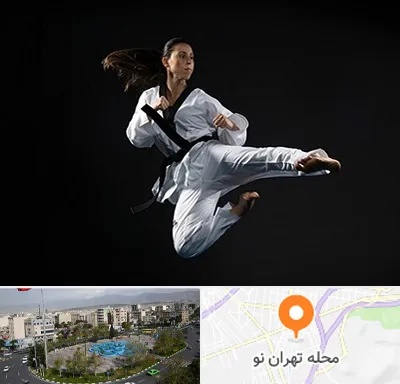 مربی رزمی خانم در تهران نو