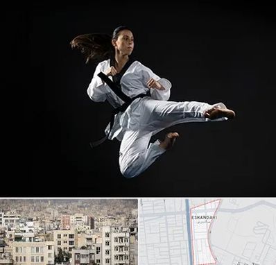 مربی رزمی خانم در اسکندری