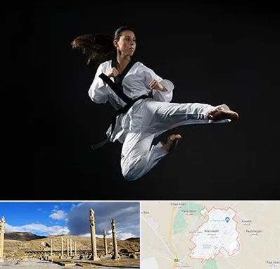 مربی رزمی خانم در مرودشت