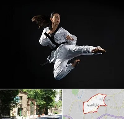 مربی رزمی خانم در دزاشیب