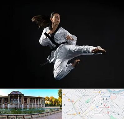 مربی رزمی خانم در عفیف آباد شیراز