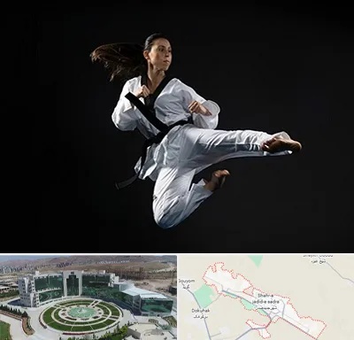 مربی رزمی خانم در صدرا