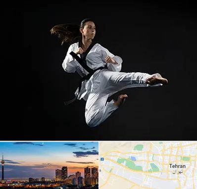 مربی رزمی خانم در غرب تهران 