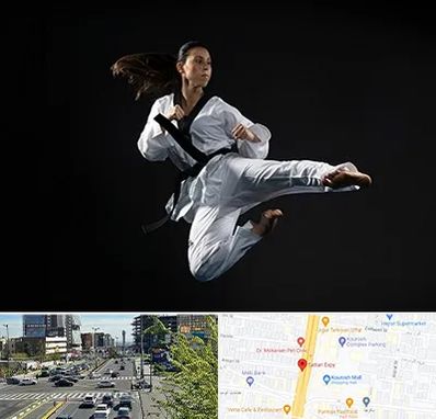 مربی رزمی خانم در ستاری