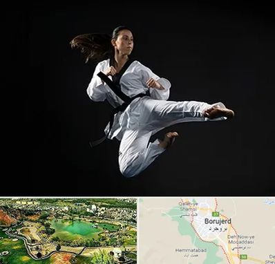 مربی رزمی خانم در بروجرد